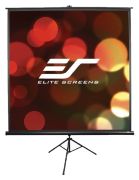 Elite Screens T113UWS1