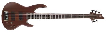 ESP D-5 ESP D-5