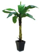 Europalms Banānkoks 220 cm Europalms Banānkoks 220 cm