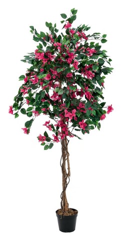 Europalms Bougainvillea magenta 180 cm Europalms Bougainvillea magenta 180 cm