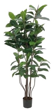Europalms Gumijkoks 150 cm Europalms Gumijkoks 150 cm