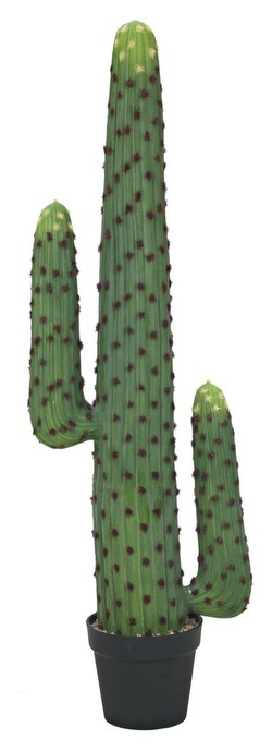Europalms Mexikāņu kaktuss 117 cm Europalms Mexikāņu kaktuss 117 cm