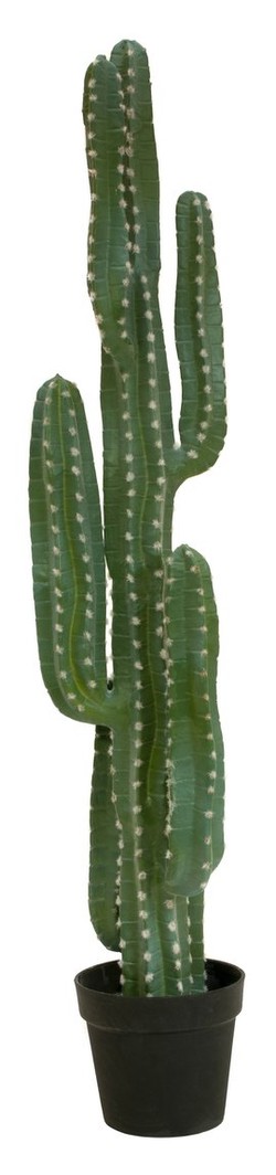 Europalms Mexikāņu kaktuss 123 cm Europalms Mexikāņu kaktuss 123 cm