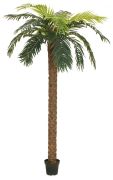 Europalms Phönix Palme deluxe 250 cm Europalms Phönix Palme deluxe 250 cm