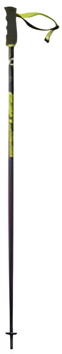 Fischer RC4 SL Fischer RC4 SL