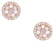 Fossil Mother-of-Pearl Disc auskari (JF02906791) Fossil Mother-of-Pearl Disc auskari (JF02906791)