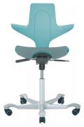 HAG Capisco Puls 8020