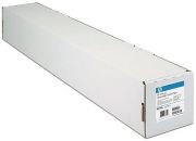 HP C6029C