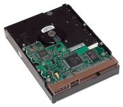 HP SATA Cietais Disks 1TB (LQ037AA)