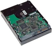 HP SATA cietais disks 1TB (GE262AA) HP SATA cietais disks 1TB (GE262AA)