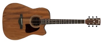 Ibanez AW54CE Ibanez AW54CE