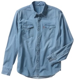 Levi's Barstow Western krekls