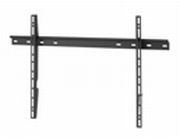 Mount Massive MNT 300 Mount Massive MNT 300