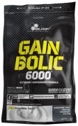 Olimp Gain Bolic 6000 1000 g Olimp Gain Bolic 6000 1000 g