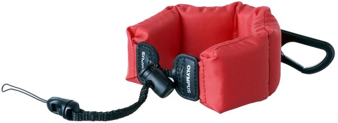 Olympus CHS-09 Olympus CHS-09