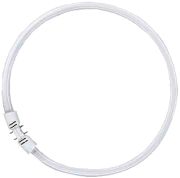 Osram Lumilux T5 FC 22 W/840 2GX13 FS1 Osram Lumilux T5 FC 22 W/840 2GX13 FS1