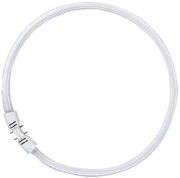 Ledvance Lumilux T5 FC 40 W/840 2GX13 FS1 Ledvance Lumilux T5 FC 40 W/840 2GX13 FS1