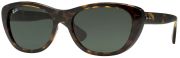 Ray Ban RB4227 Ray Ban RB4227