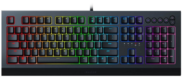 Razer Cynosa V2 Razer Cynosa V2