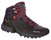 Salewa Alpenrose 2 Mid GTX sievietēm