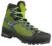Salewa Raven 3 GTX vīriešiem