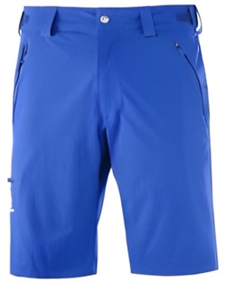 Salomon Wayfarer īsās bikses vīriešiem Salomon Wayfarer īsās bikses vīriešiem