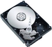 Seagate Barracuda 40GB (ST3402111A) Seagate Barracuda 40GB (ST3402111A)