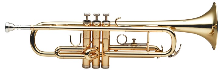 Stagg WS-TR215S Stagg WS-TR215S