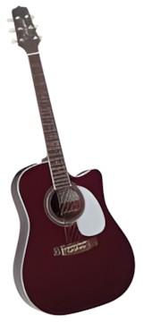 Takamine John Jorgenson JJ325SRC Takamine John Jorgenson JJ325SRC