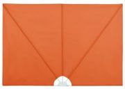 vidaXL Saliekams terases sānu ekrāns 300 x 200 cm vidaXL Saliekams terases sānu ekrāns 300 x 200 cm