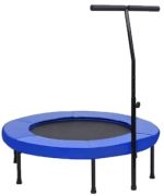 vidaXL fitnesa batuts ar rokturi un drošības spilventiņu 102 cm vidaXL fitnesa batuts ar rokturi un drošības spilventiņu 102 cm