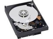 Western Digital Caviar Blue 1TB (WD10EALX)