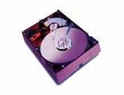 Western Digital Caviar Blue 80GB (WD800JD)