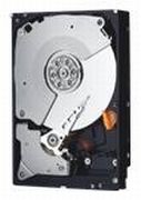 Western Digital WD RE SAS 1TB (WD1001FYYG)