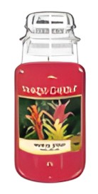 Yankee Candle Tropical Jungle aromātiskā svece 623 g Yankee Candle Tropical Jungle aromātiskā svece 623 g